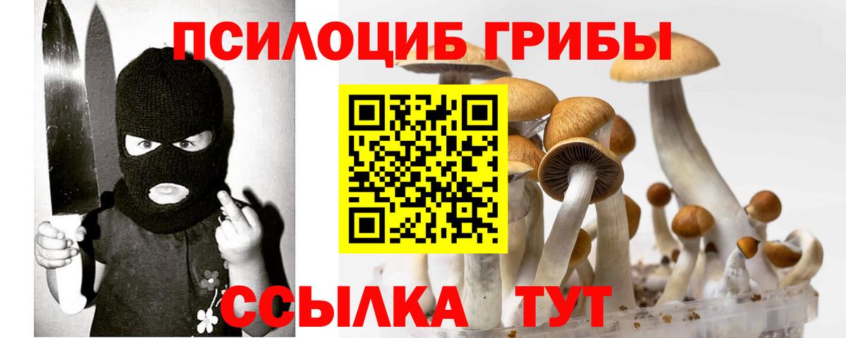 что такое наркотик  Галлюциногенные грибы Psilocybine cubensis  Вход с VPN  Боровичи 